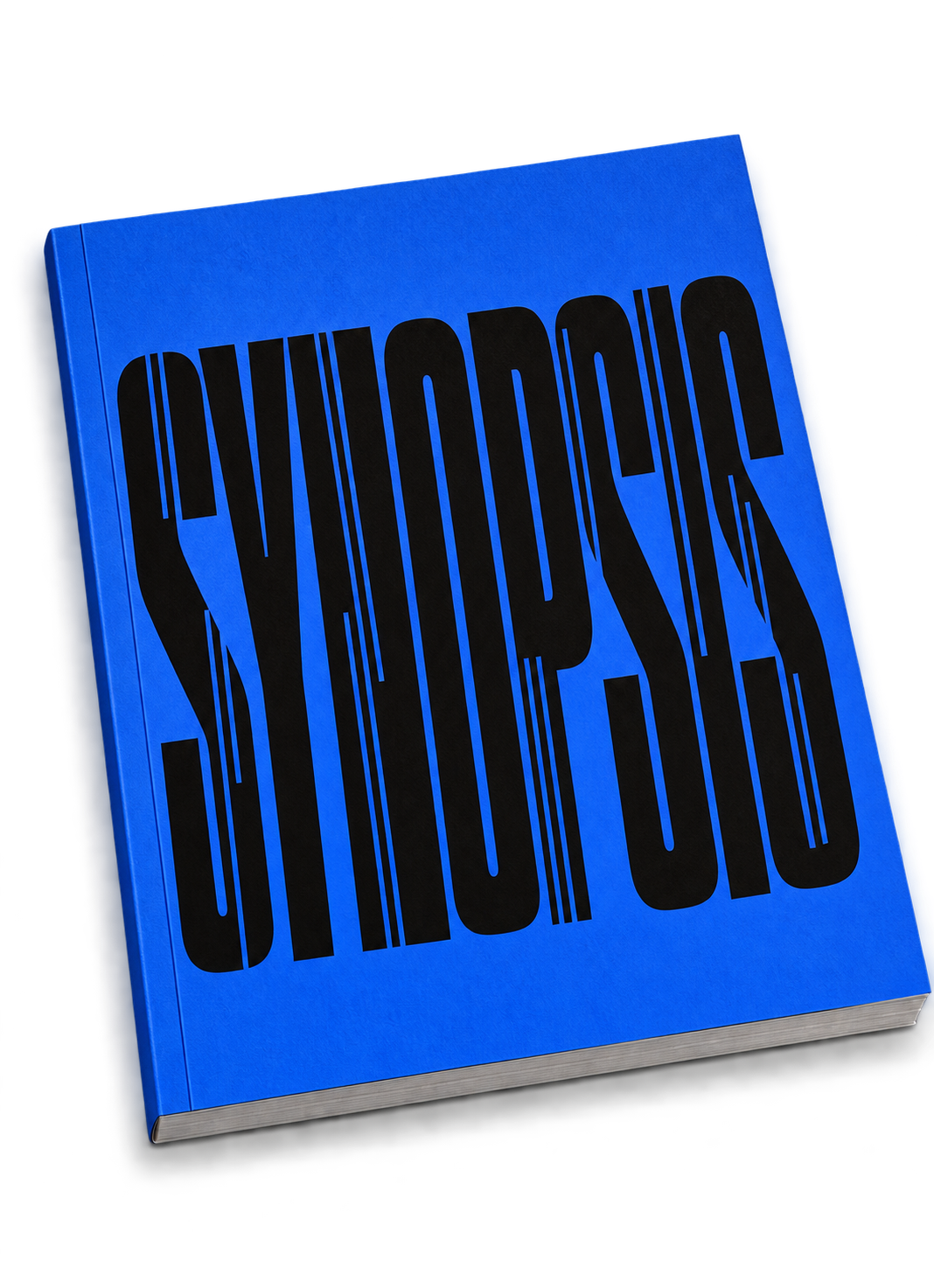 SYNOPSIS SIGNAL 표지
